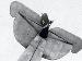 AEG G.IV crash (0261-56) detail tailplane